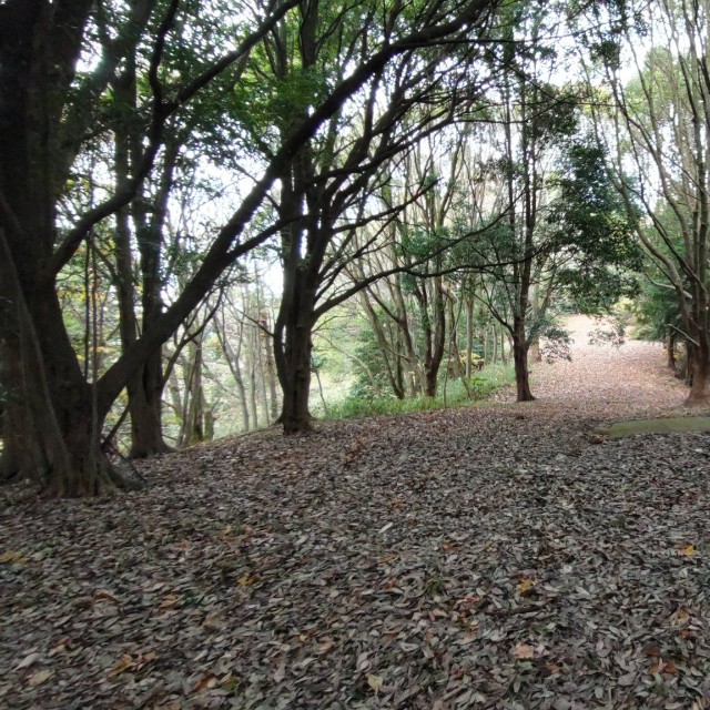 （あると紀はさん提供）