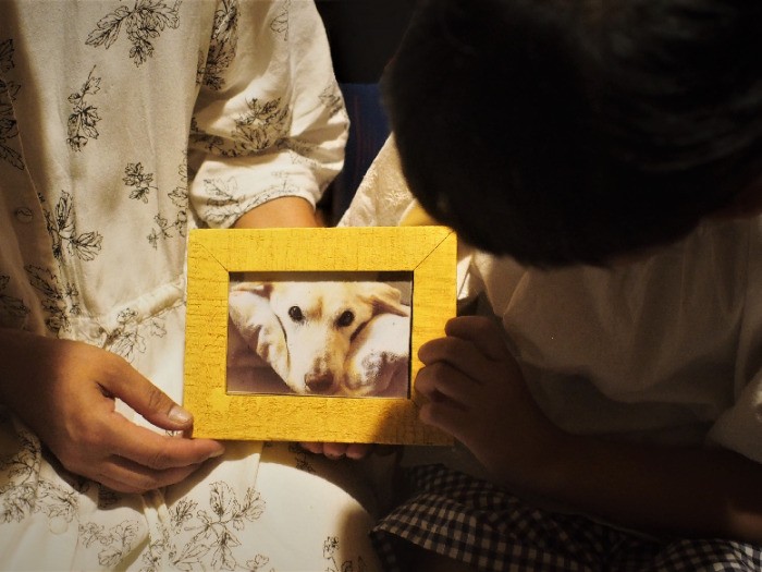 はなのようなつらい思いをする犬がいなくなりますように