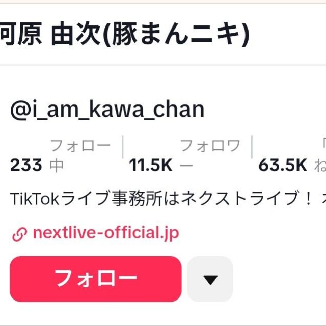 豚まんニキとプロフィール名に追加した河原由次(@i_am_kawa_chan)のTikTokより