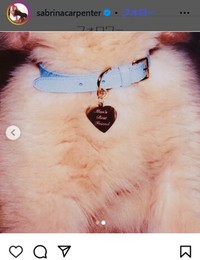 サブリナ・カーペンターのインスタグラム＠sabrinacarpenterより