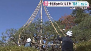 冬に向けて　松の枝を守る雪吊り 仙台・輪王寺　みやぎ蔵王えぼしリゾートで安全祈願祭 