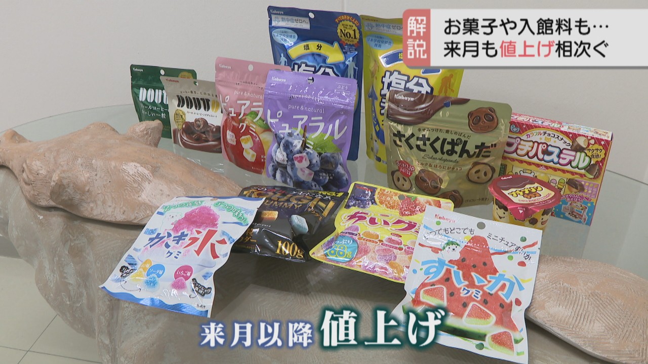 解説】お菓子や入館料など2月も相次ぐ値上げ 専門家「半年後に収束か