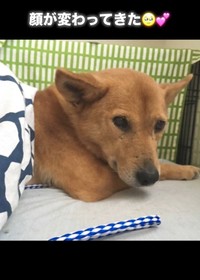 表情がやわらかくなってきました（Ako Yamazakiさん提供、Instagramよりキャプチャ撮影）