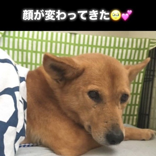 表情がやわらかくなってきました（Ako Yamazakiさん提供、Instagramよりキャプチャ撮影）