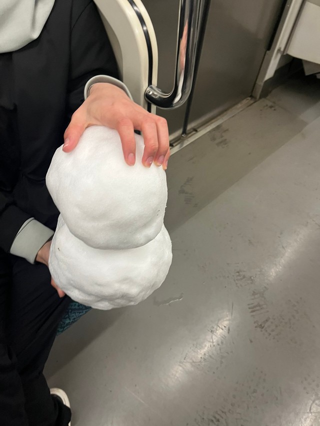 雪だるまはきよさんが車外に降ろしてあげました（きよさん提供）