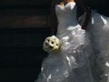 元彼が私じゃない誰かと結婚。やり直したかったのに、遅過ぎた