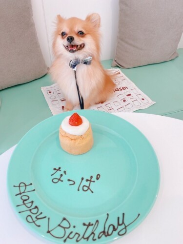 誕生日をお祝いしてもらってうれしそうななっぱ（お母さん提供）