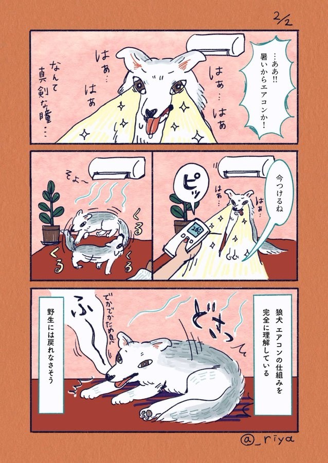 （漫画「デカい狼犬との日常」より／提供：riyaさん）