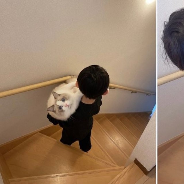 【←3年前　　　　　　　　　　　　　今→】（画像提供：LUCA ラグドールさん）