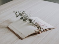 大学３年生の夏、自分の「できる」と「知りたい」が手を取り合った瞬間