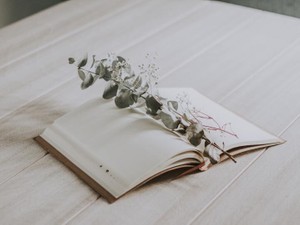 大学３年生の夏、自分の「できる」と「知りたい」が手を取り合った瞬間