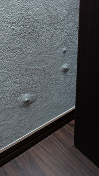 新築した家の壁に突如浮かび上がったこのふくらみ…正体は？（いもにゃんさん提供）