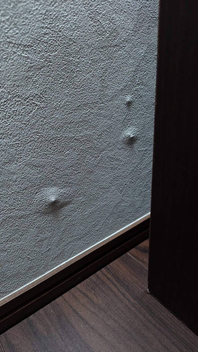 新築した家の壁に突如浮かび上がったこのふくらみ…正体は？（いもにゃんさん提供）