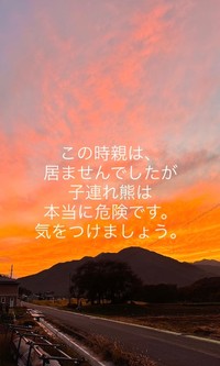 山で聞き慣れない「声」が聞こえたら……すぐに静かに引き返して（動画からキャプチャー／提供：投稿者さん）