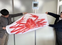 のぼり水族館シリーズのカニ。観光地や鮮魚店の需要を見込む