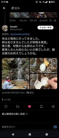 後日、「卵殻を発見」と連絡が／あっきーさん（@yamabocchi）提供