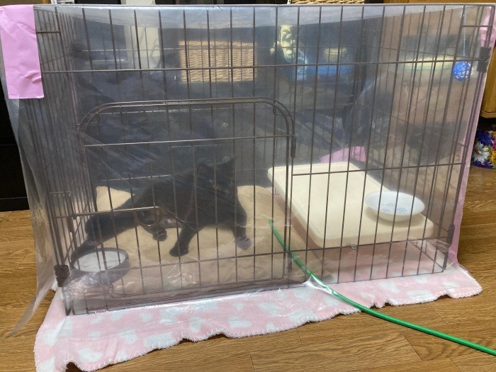 血栓塞栓症を発症した時には、自宅に手作りの酸素室を構えた（小野さん提供）