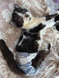 オムツの漏れ対策を徹底