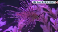 いきものワールド in コンベックス岡山