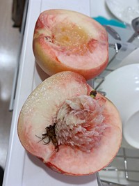 桃を切ると、種のそばに茶色いものが（画像提供：柚さん）