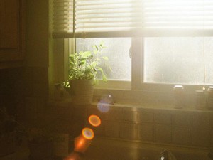 人に合わせすぎて本当の「わたし」不明。どうかご自愛できますように