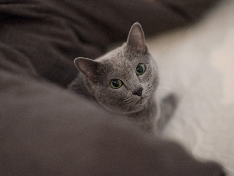 「私もうレディーなの。のぞかないでくださる」（小林写函撮影）