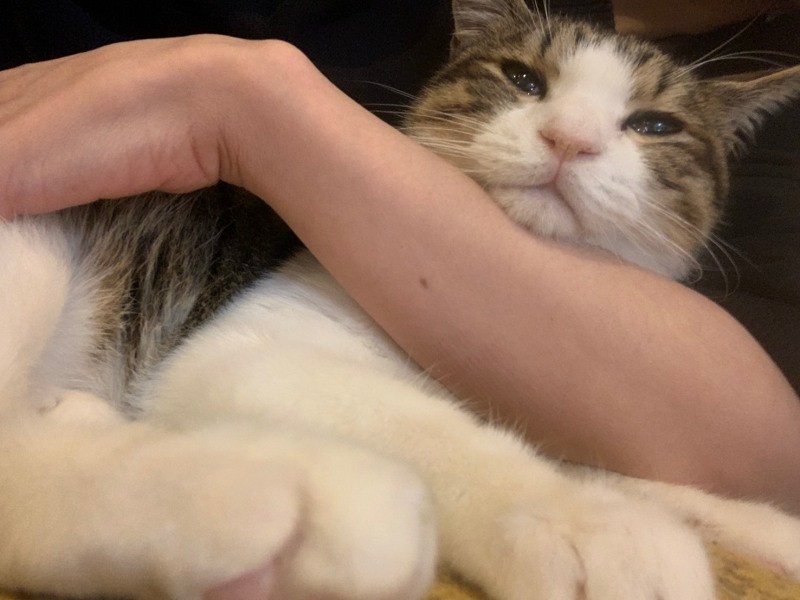 「浦も桃も、もっと甘えていいのよ～」と、うえみさん（うえみさん提供）