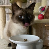 ご飯の時はご機嫌さん＝fuku.fuku86さん提供
