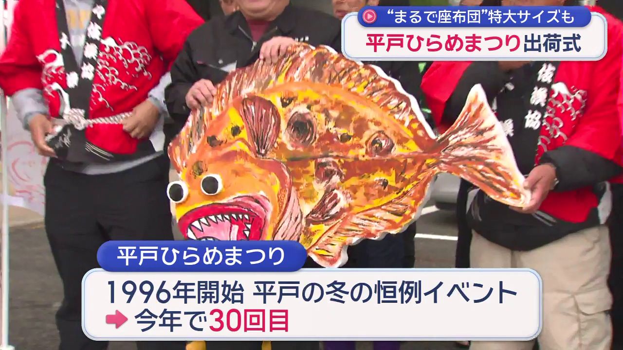 まるで座布団のよう」体長80センチ 平戸の巨大ヒラメ (3) | 長崎