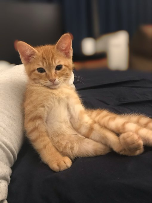 当時、推定生後3カ月