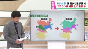 衆院選１５日公示　争点や構図、宮城県内注目の選挙区は？記者解説