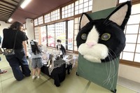 ９月２１日「黒猫だらけの譲渡会マルシェ」の様子。巨大看板猫がひときわ目立った