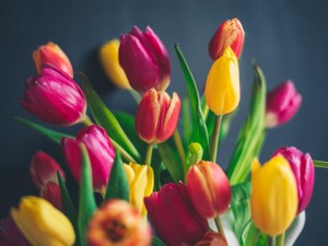 憧れのNちゃんは、私の推し。彼女が私を可愛くしてくれた