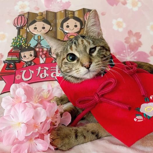 きょうは女の子の日、おひなさまコーデよ