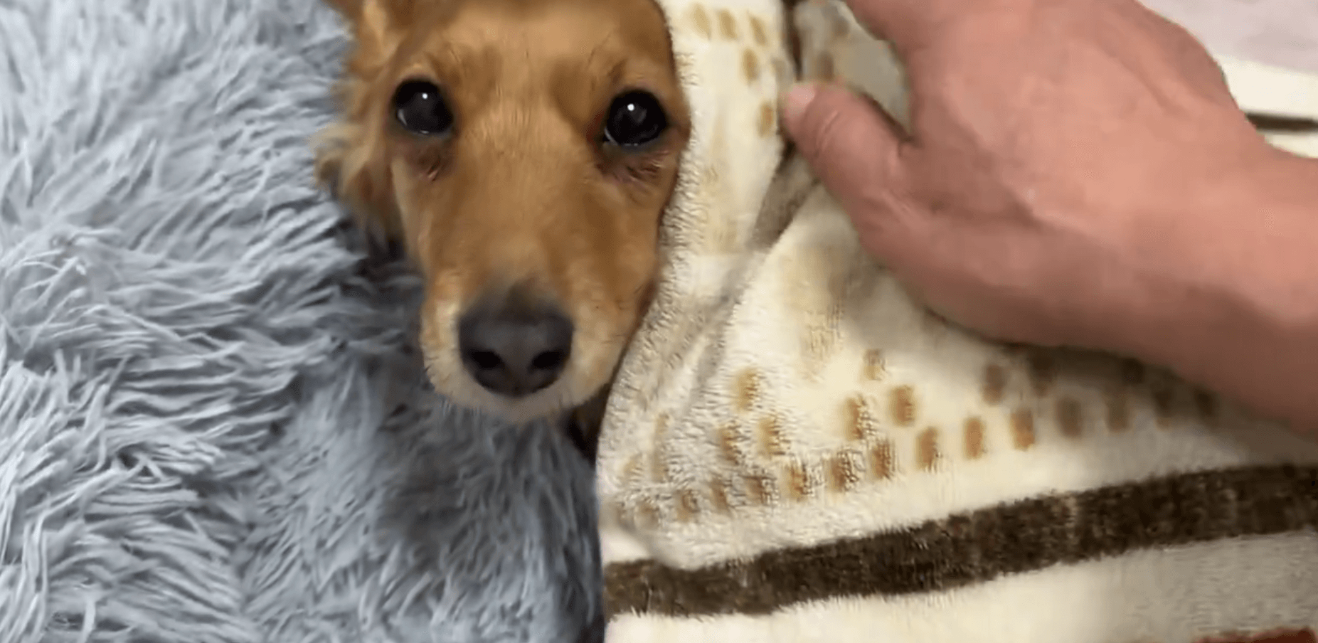 切なそうな目もたまらない