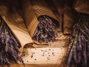 ただ泣くことしか出来なかった日。私は初めて「恋」を知った