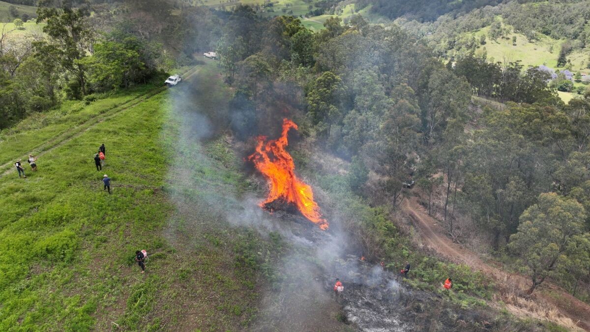 山火事を抑え大地を守るアボリジナルピープルの知恵 豪州で再興する