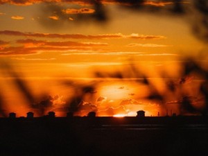 あの時、私は祖母の言葉を無視した。それが最期になると知らずに
