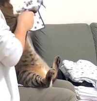 最後は洗濯物をポイ…（なみおさん提供、Xよりキャプチャ撮影）