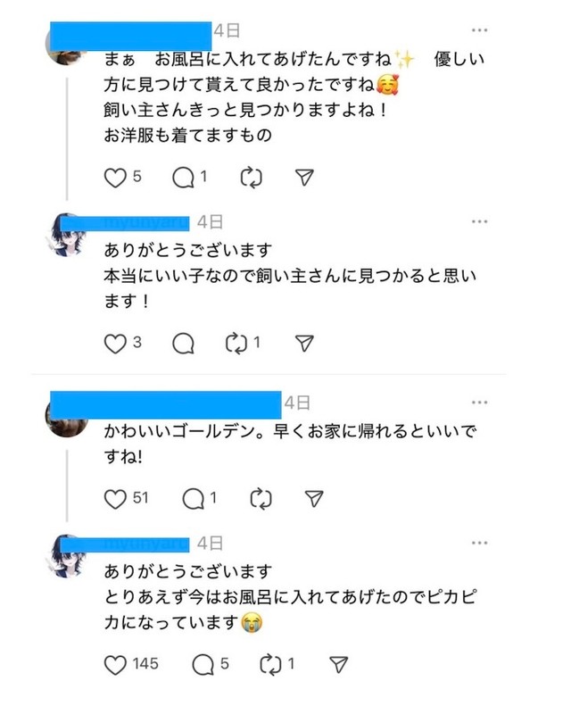 動物好きの善意を悪用し、虚偽のポストをする投稿者の目的とは？