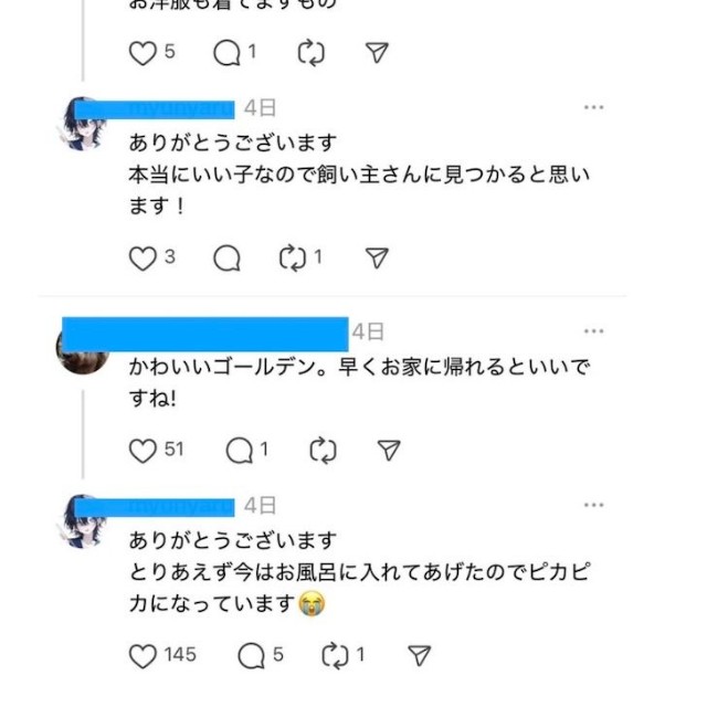 動物好きの善意を悪用し、虚偽のポストをする投稿者の目的とは？