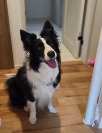 嬉しそうにカメラを見つめるリリィちゃん（提供：なつ☺︎🌻🍓‎🤍さん）