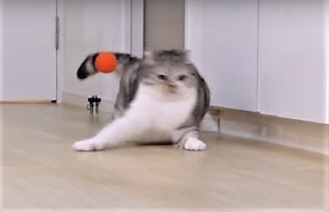 ②ボールとは違う方向へ･･･