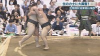 醍醐桜の取組