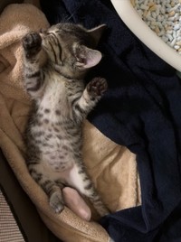 お迎えから一週間後