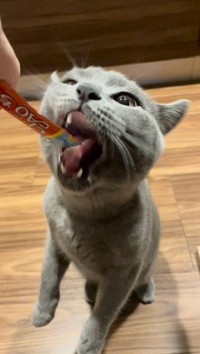 もちろんこれも好き＝おいでやすブリオさん（@burio0522）提供