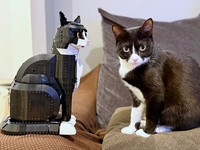 向かい合う（左から）レゴ猫と、ちょっぴり不思議そうな表情を浮かべるミシェルちゃん（画像提供：ModCraneさん）