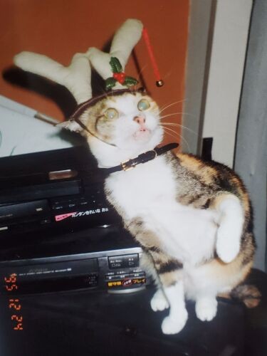 私のケンカ相手だったユキ　気が強かった