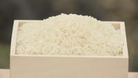 香川県　2025年の米の収穫量　前年比3700t増の5万700t　作況単収指数104