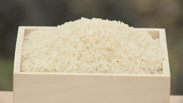 香川県　2025年の米の収穫量　前年比3700t増の5万700t　作況単収指数104